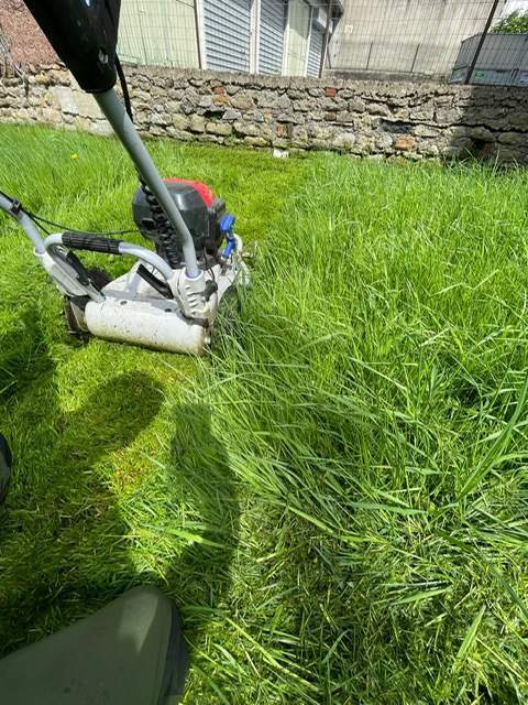 Nos paysagistes sont à votre disposition pour l’entretien de vos espaces extérieurs.