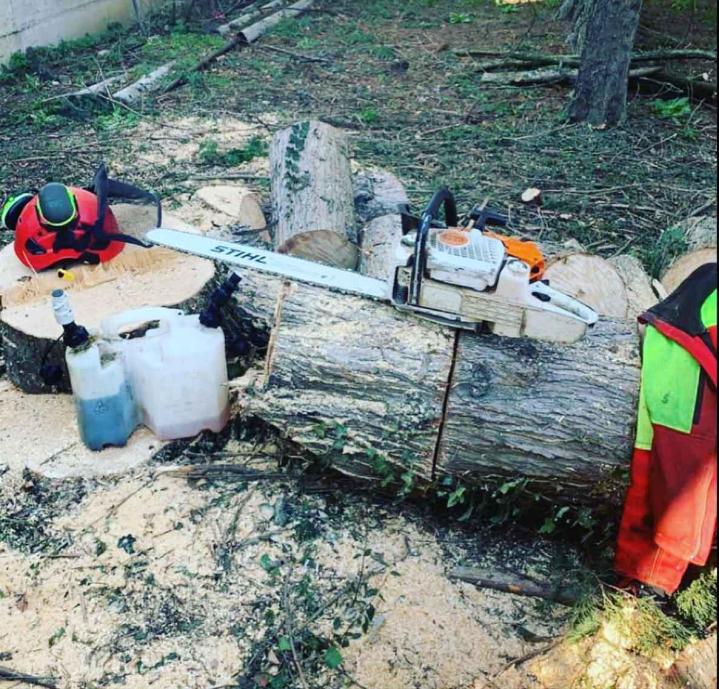 Élagage d'arbres Loire