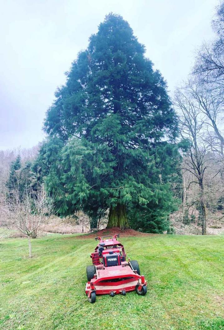 Entretien de jardin Loire