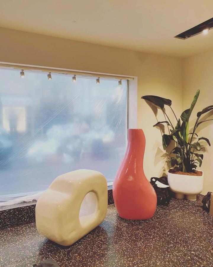 Plantes d'intérieur Loire