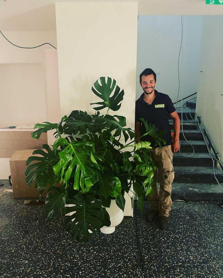 Plantes d'intérieur Loire