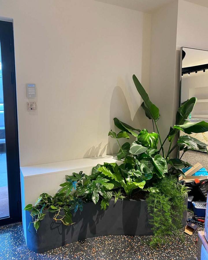 Plantes d'intérieur Loire