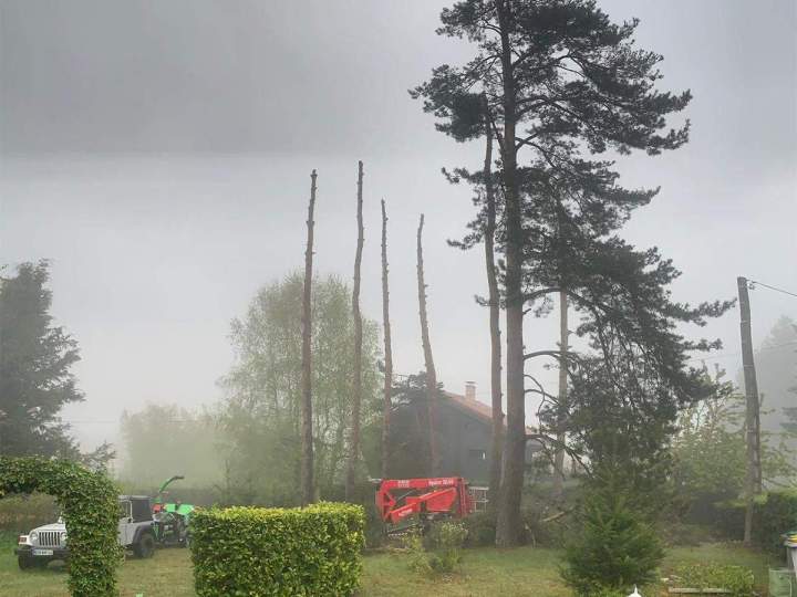 Élagage d'arbres Saint-Chamond