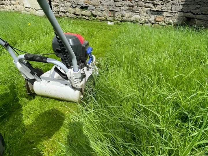 Entretien de jardin Saint-Chamond