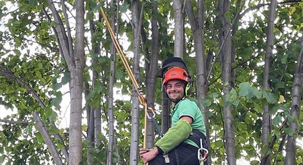 Élagage d'arbres Loire